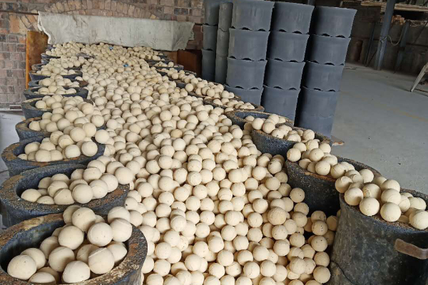 refractory ball